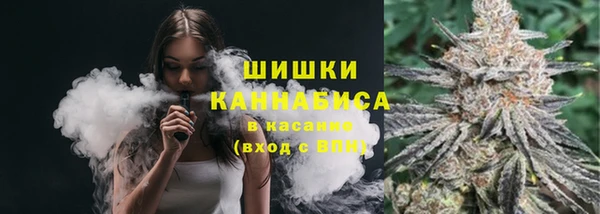 гидропоника Нязепетровск