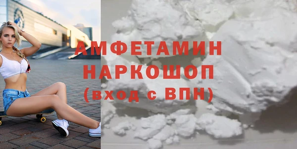 сатива Новозыбков