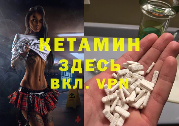 сатива Новозыбков
