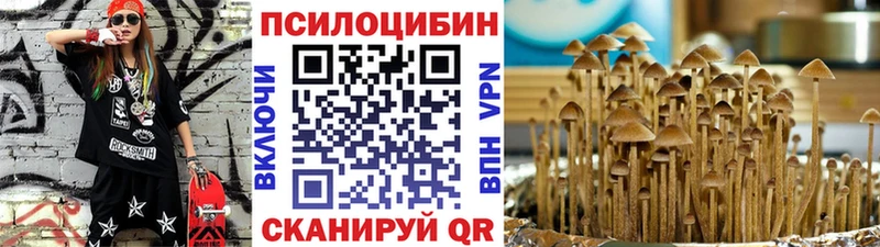 Псилоцибиновые грибы MAGIC MUSHROOMS  Карасук 