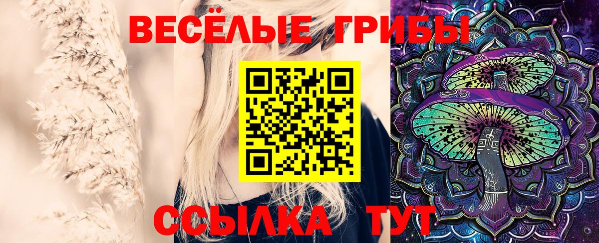 Галлюциногенные грибы Cubensis  Вход с VPN  Карасук 