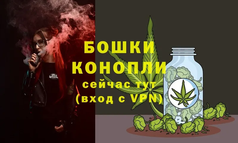 купить наркоту  kraken сайт  Бошки Шишки Amnesia  Карасук 