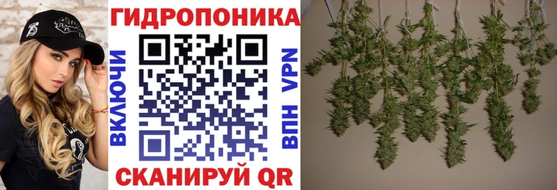 Конопля марихуана  Карасук 